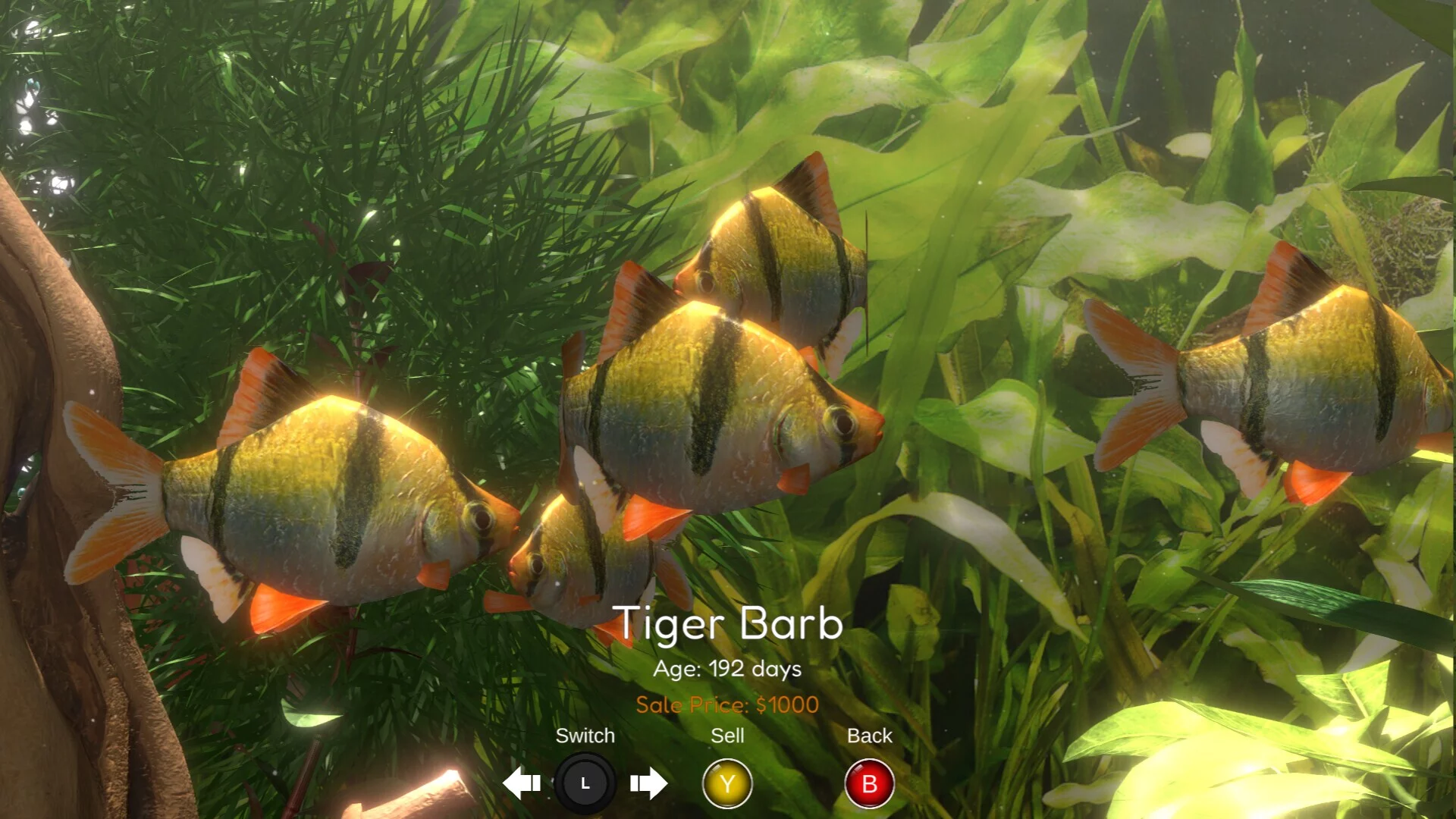 Изображение игры: Snapshot Aquarium