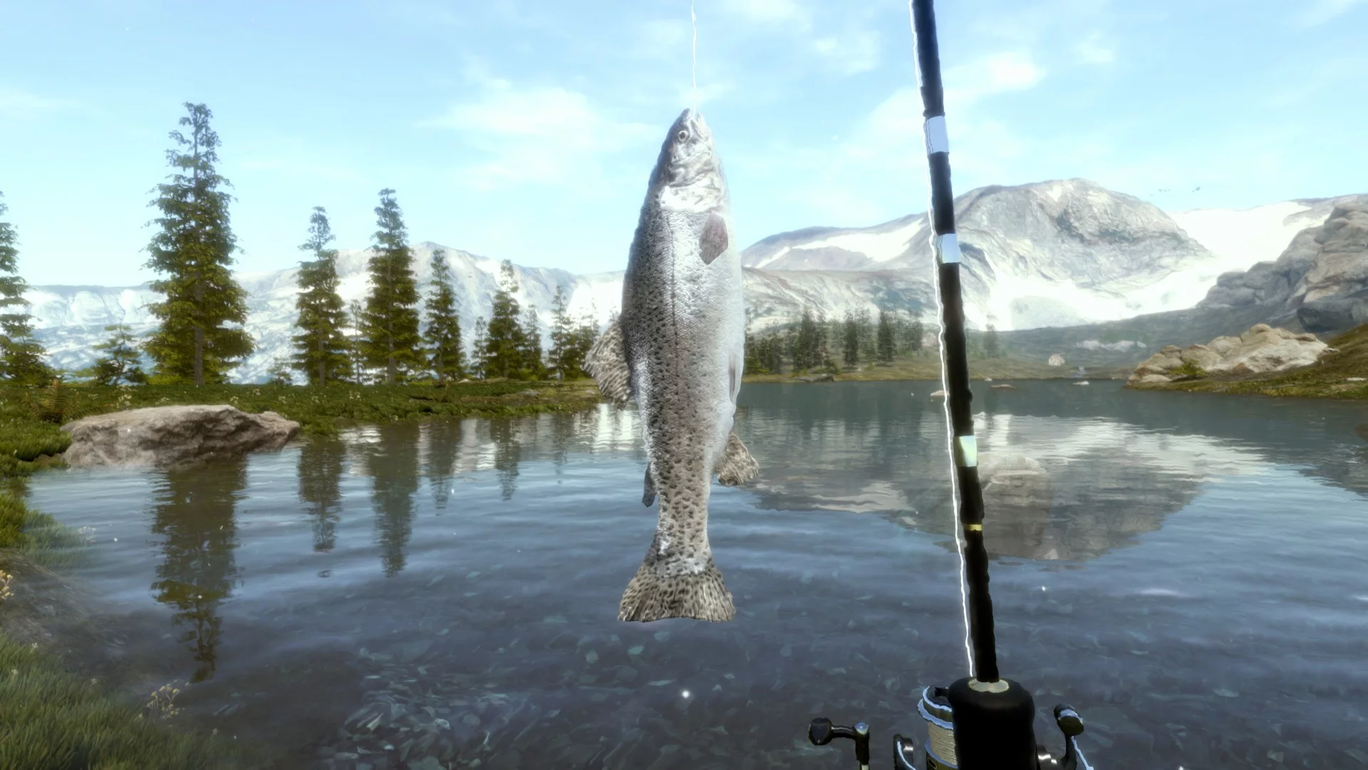 Изображение игры: Ultimate Fishing