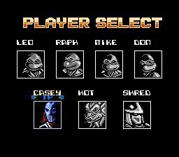 Изображение игры: Teenage Mutant Ninja Turtles: Tournament Fighters