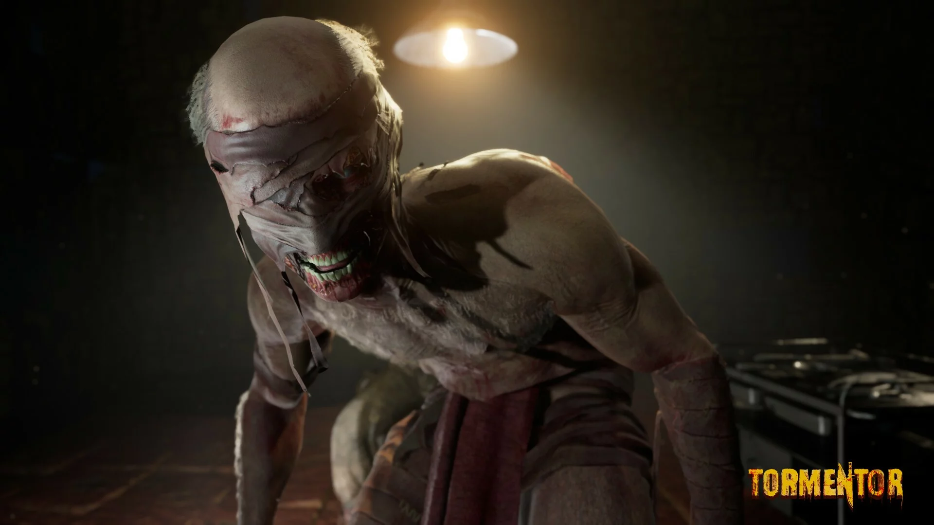 Изображение игры: TORMENTOR