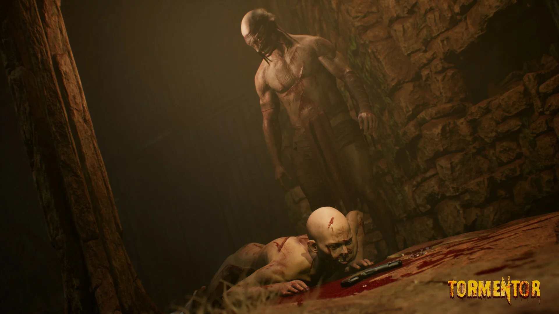 Изображение игры: TORMENTOR