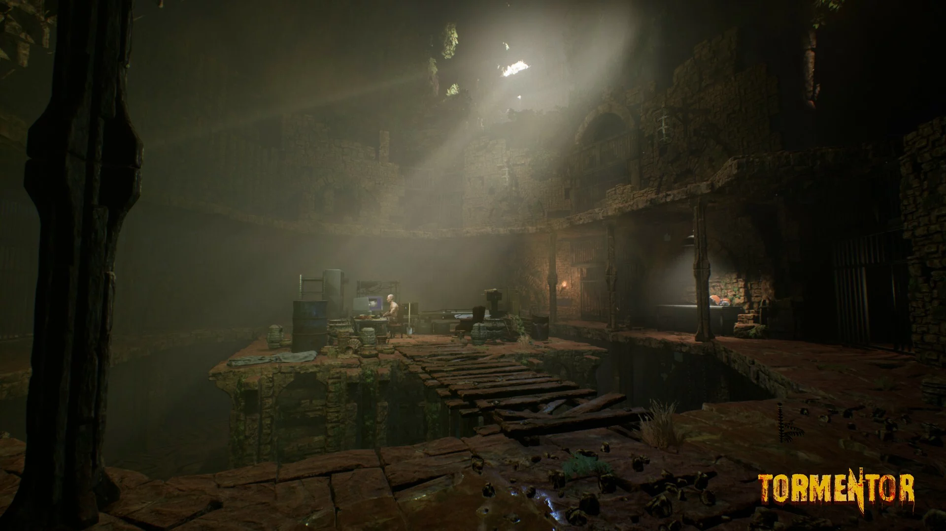 Изображение игры: TORMENTOR