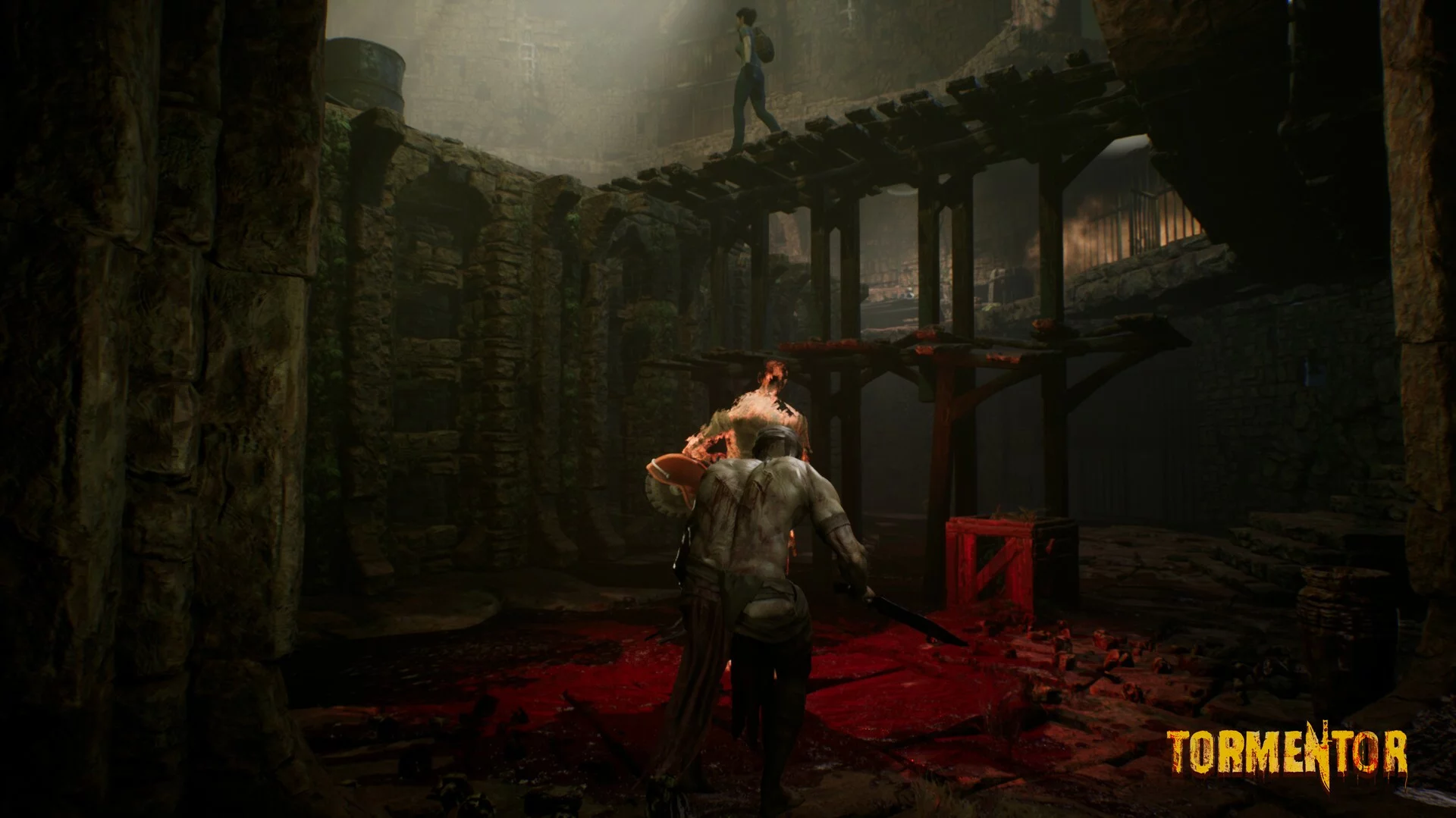 Изображение игры: TORMENTOR