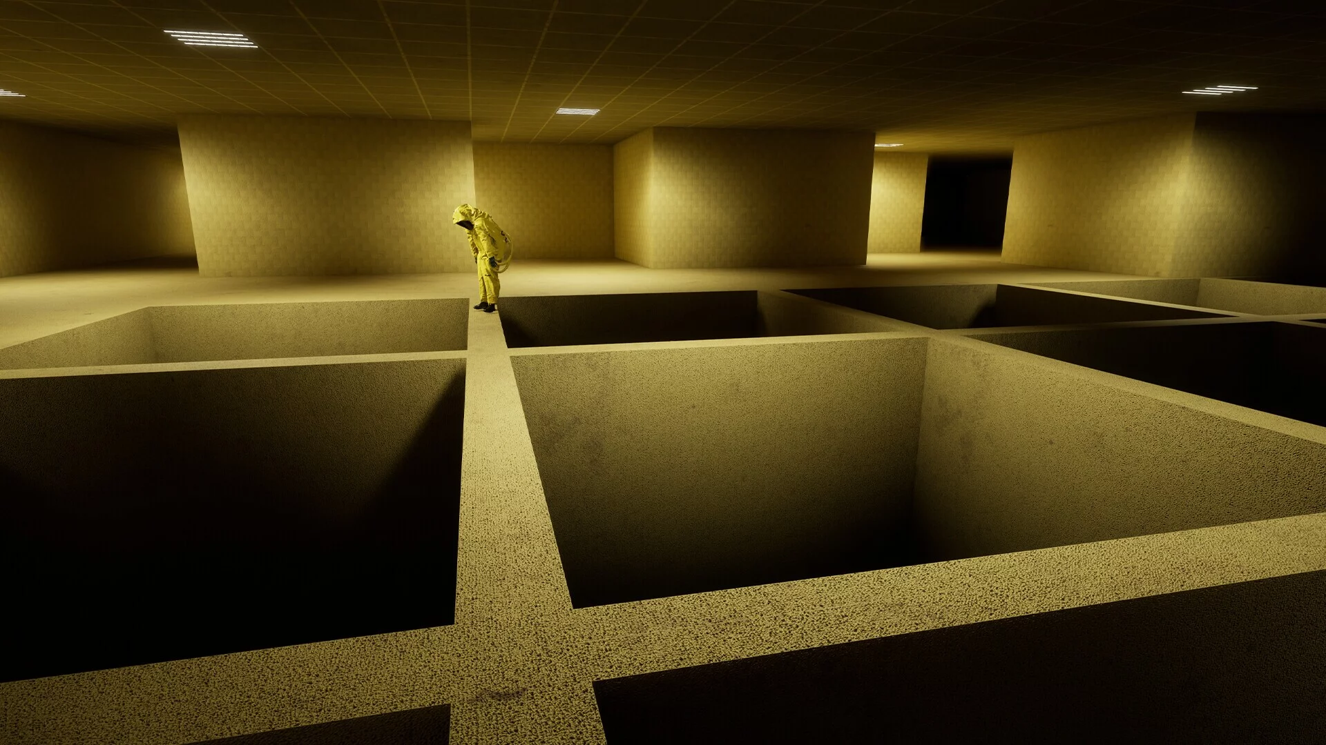 Изображение игры: Backrooms: Escape Together