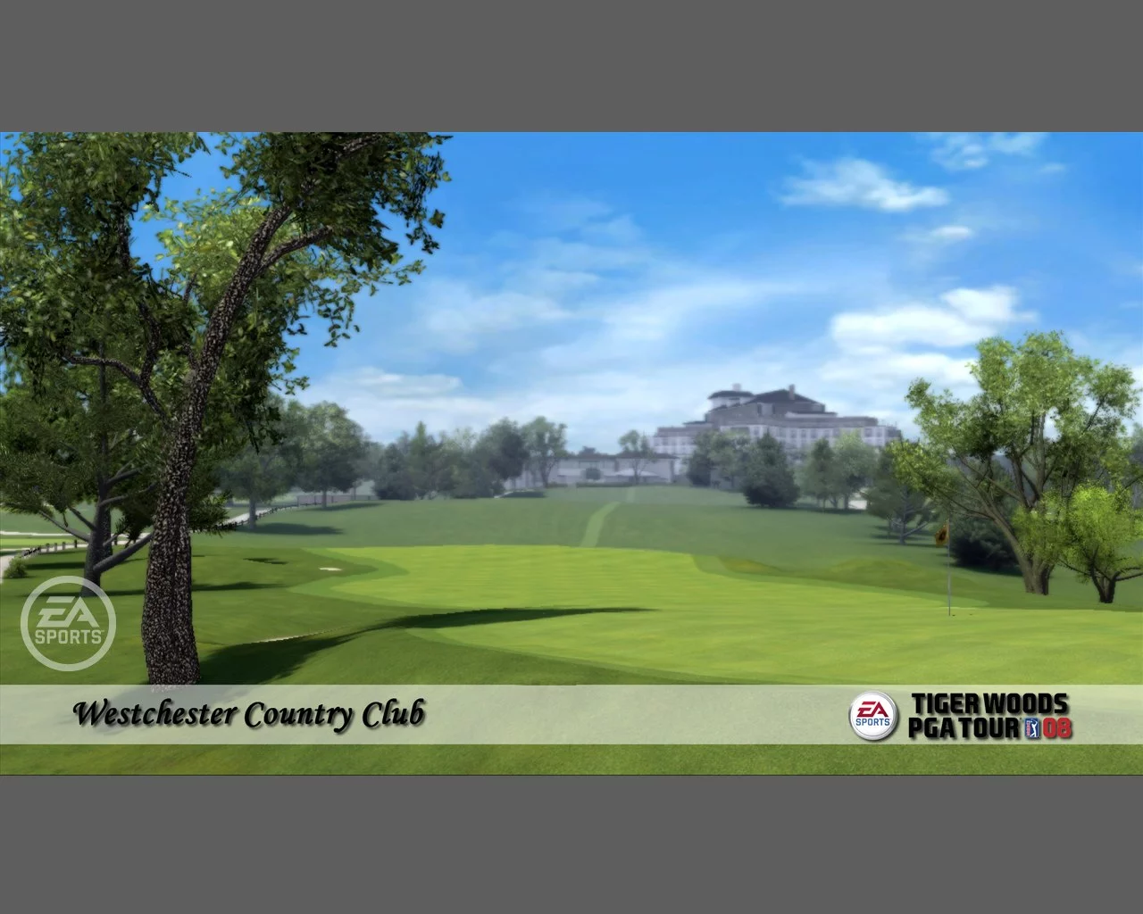 Изображение игры: Tiger Woods PGA Tour 08