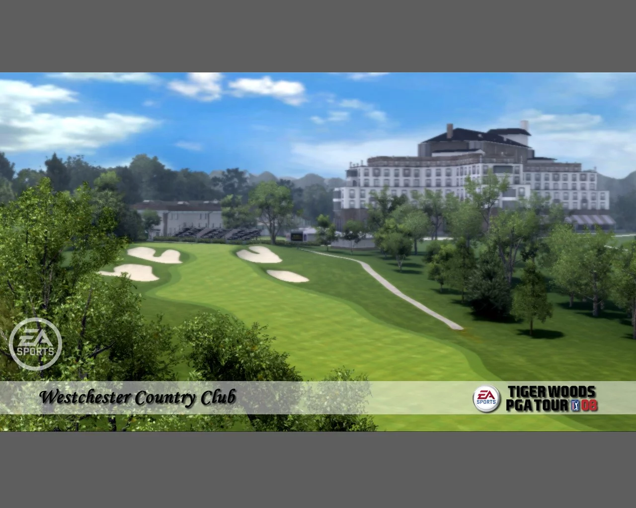 Изображение игры: Tiger Woods PGA Tour 08