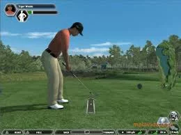 Изображение игры: Tiger Woods PGA Tour 08