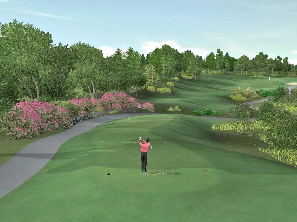 Изображение игры: Tiger Woods PGA Tour 07