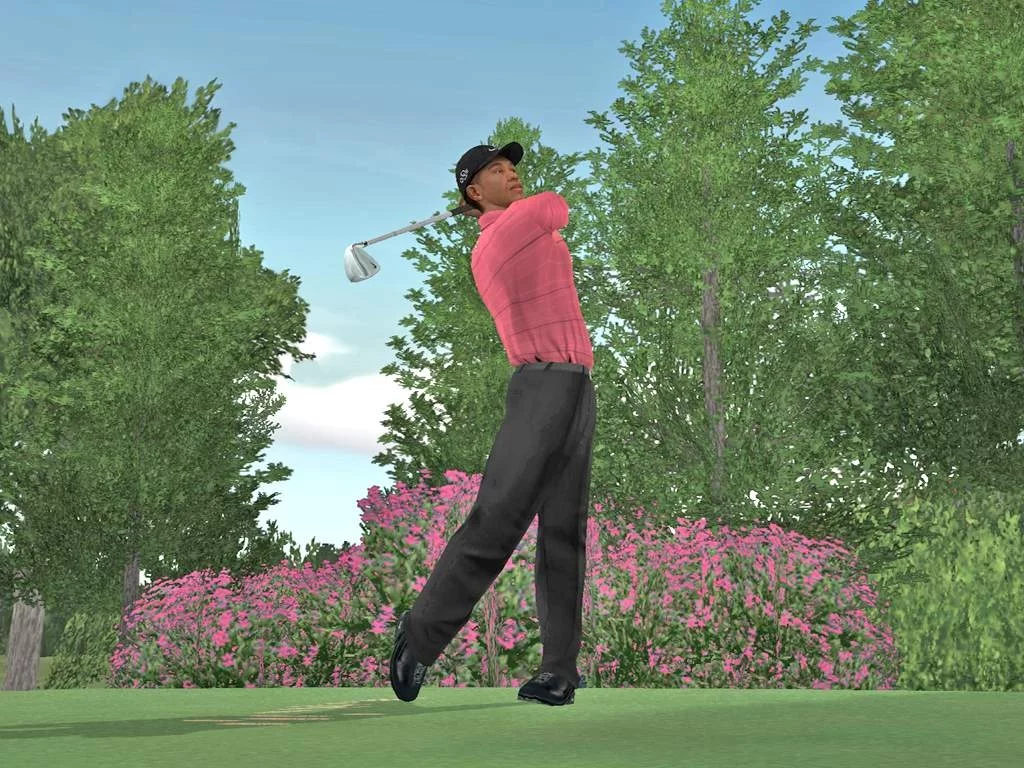 Изображение игры: Tiger Woods PGA Tour 07