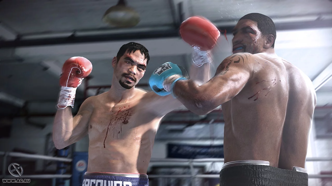 Изображение игры: Fight Night Champion