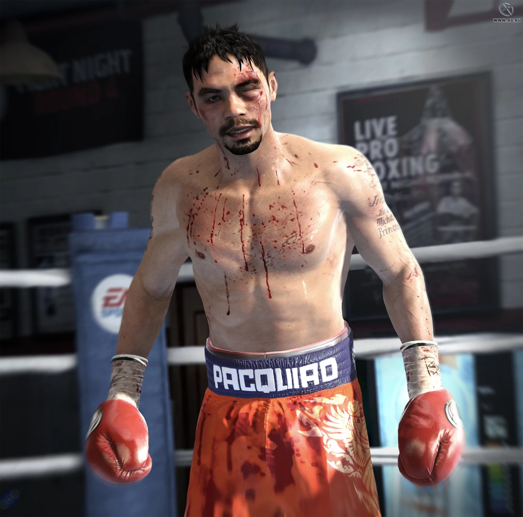 Изображение игры: Fight Night Champion