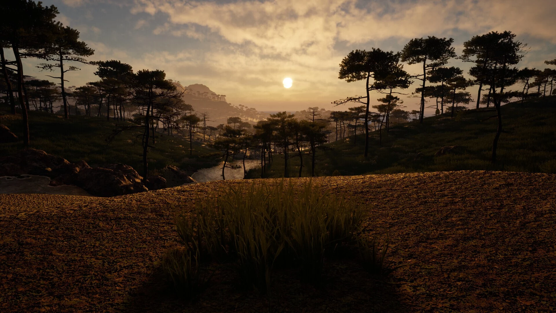 Изображение игры: Grass Life Sim 2