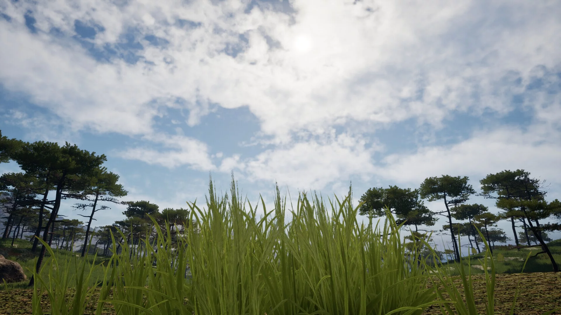 Изображение игры: Grass Life Sim 2