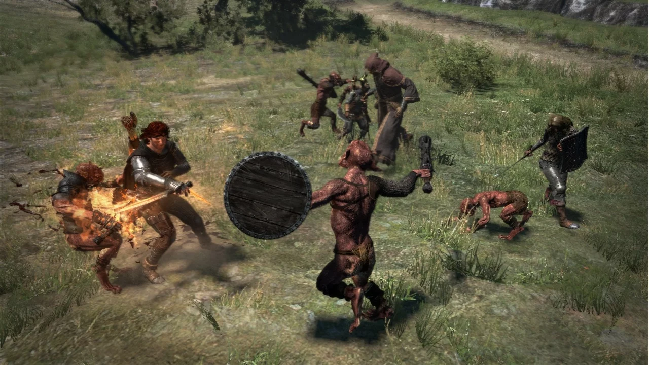 Изображение игры: Dragon's Dogma