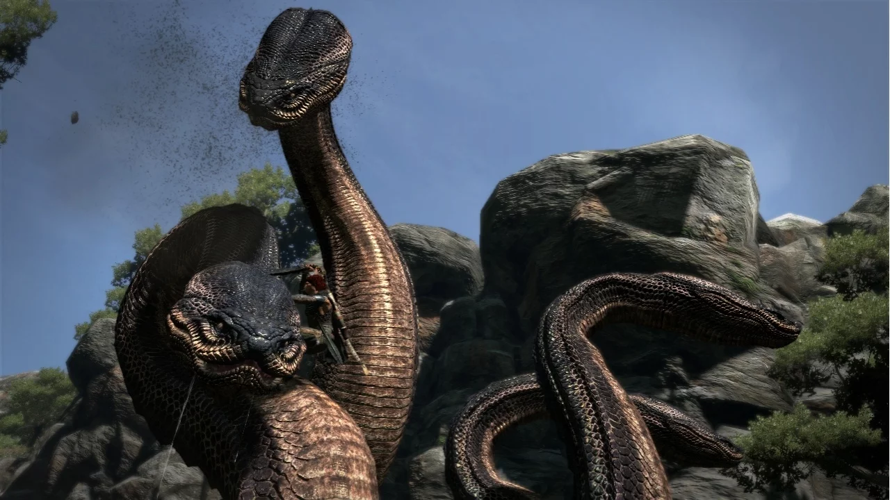 Изображение игры: Dragon's Dogma
