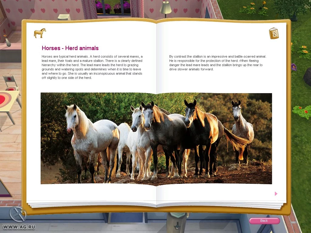 Изображение игры: Pet Vet 3D: Animal Hospital