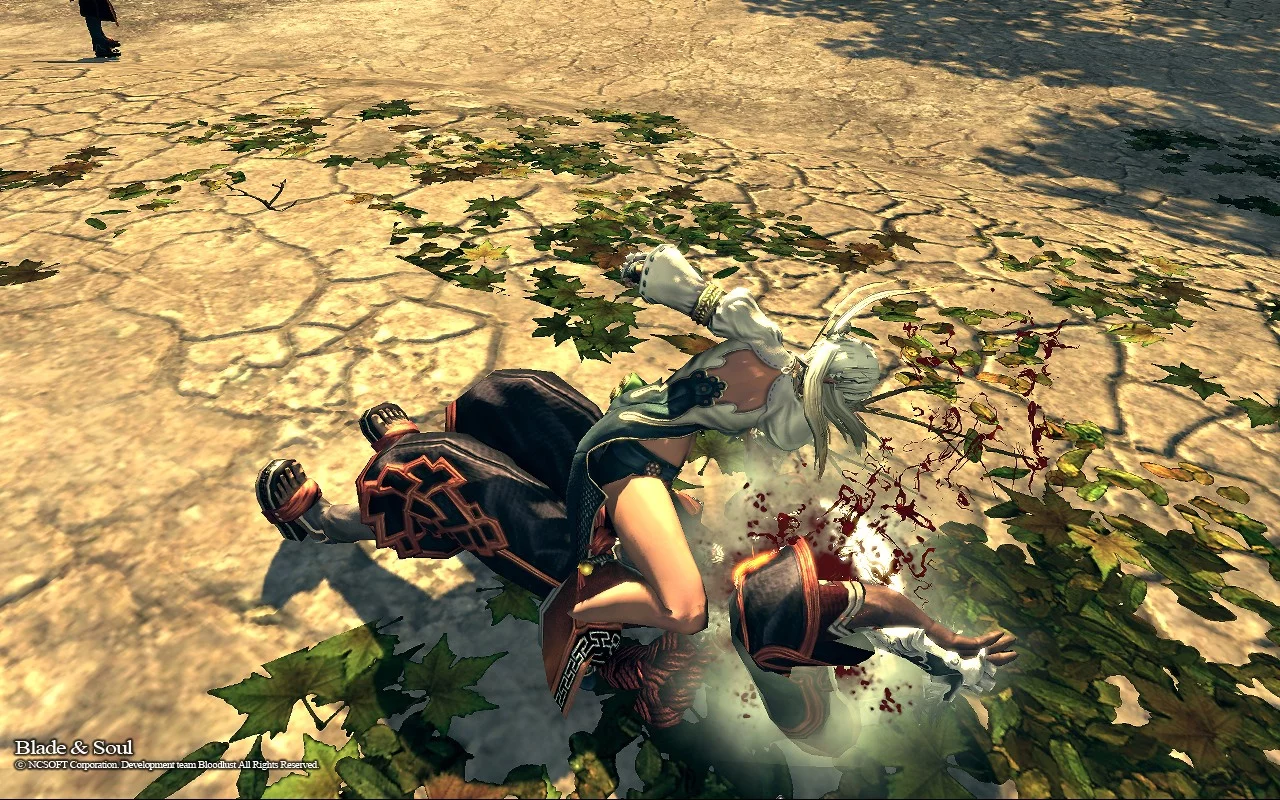 Изображение игры: Blade & Soul