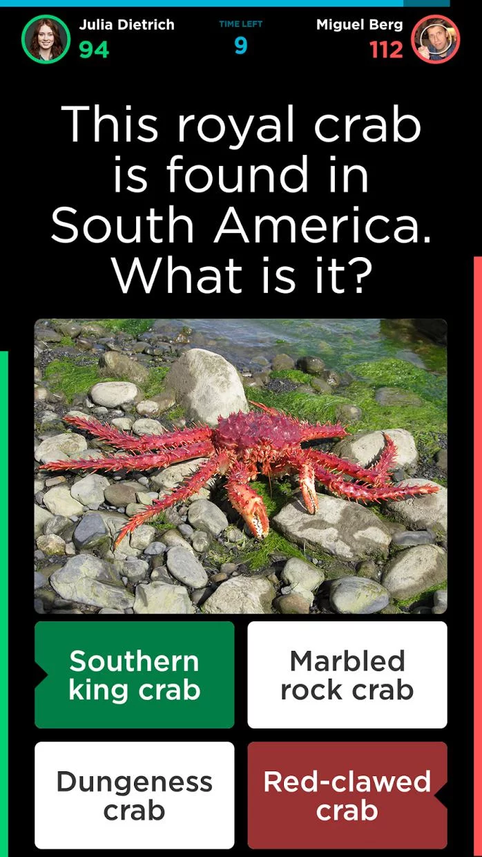 Изображение игры: QuizUp