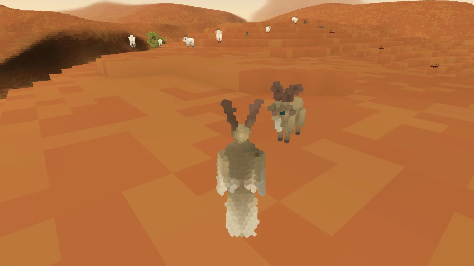 Изображение игры: Fugl - Meditative bird experience game [Alpha Version]
