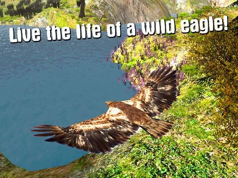 Изображение игры: Wild Eagle: Bird Survival Simulator 3D