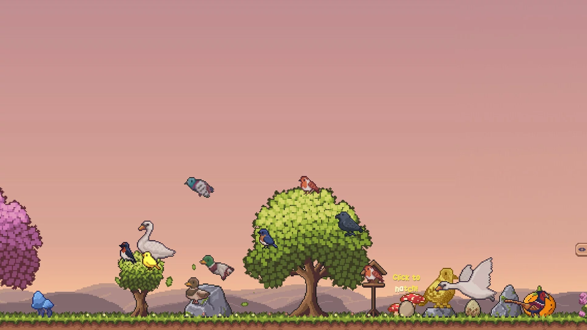Изображение игры: Little Aviary