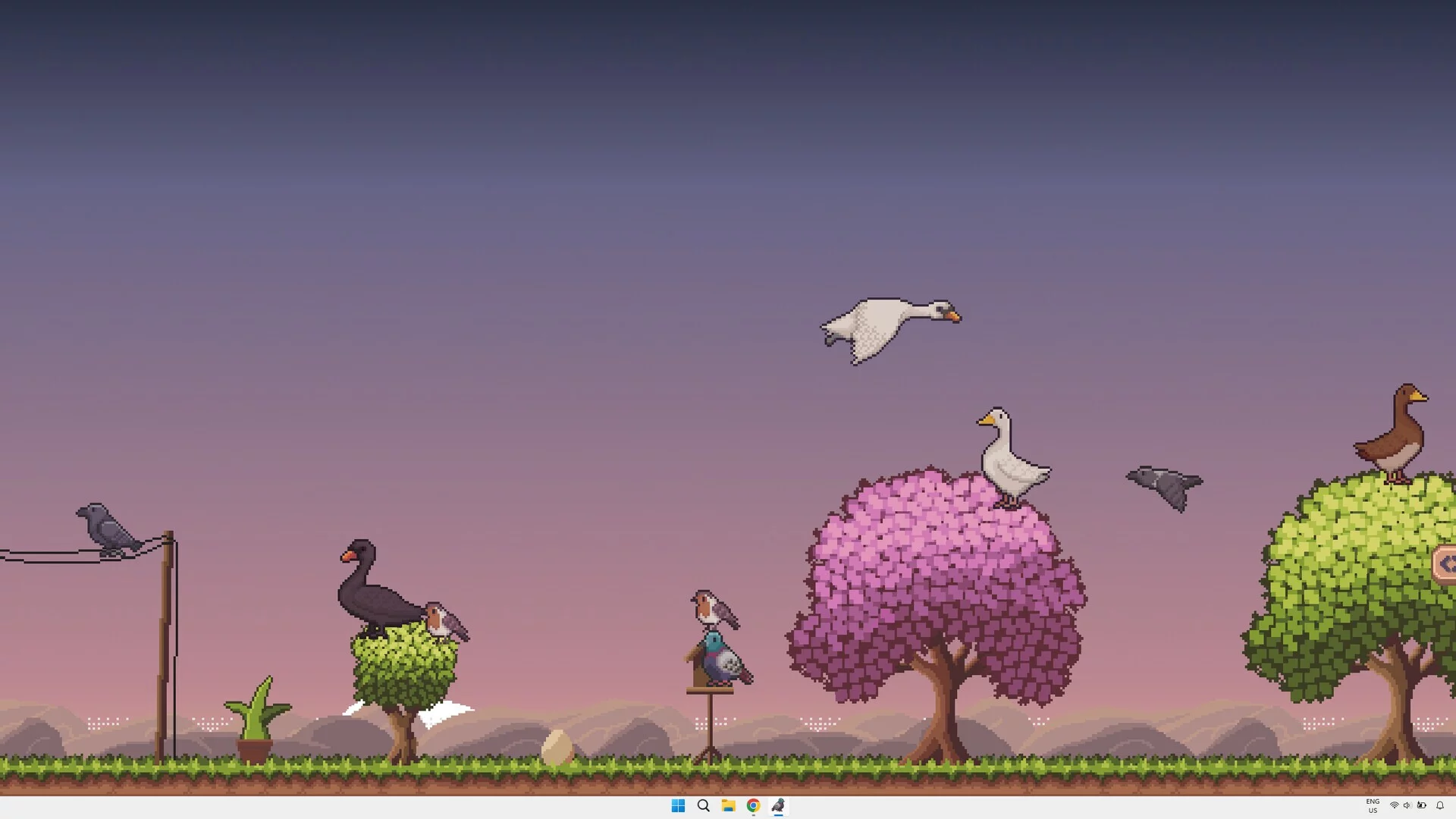 Изображение игры: Little Aviary