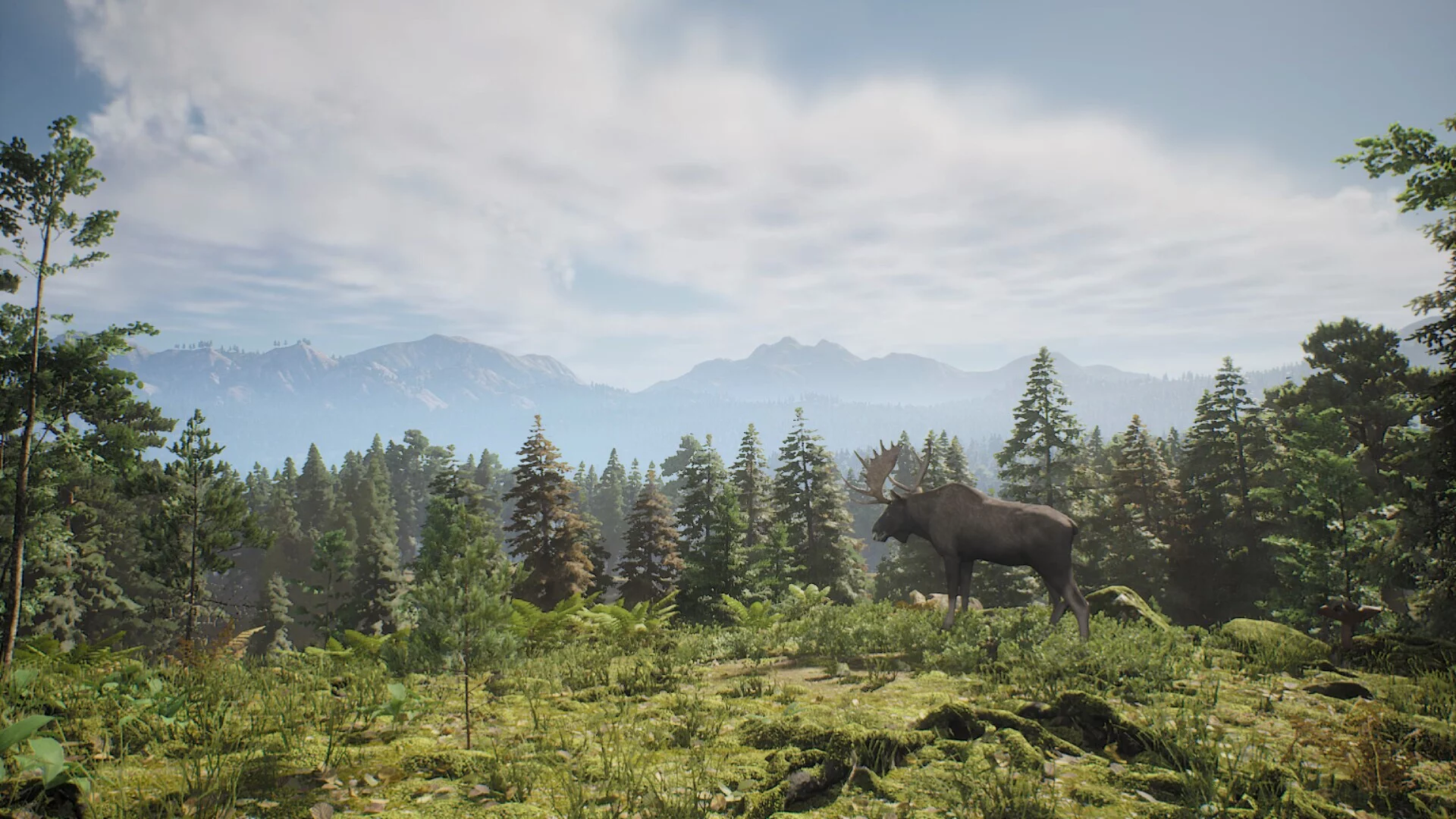 Изображение игры: Project Hunt