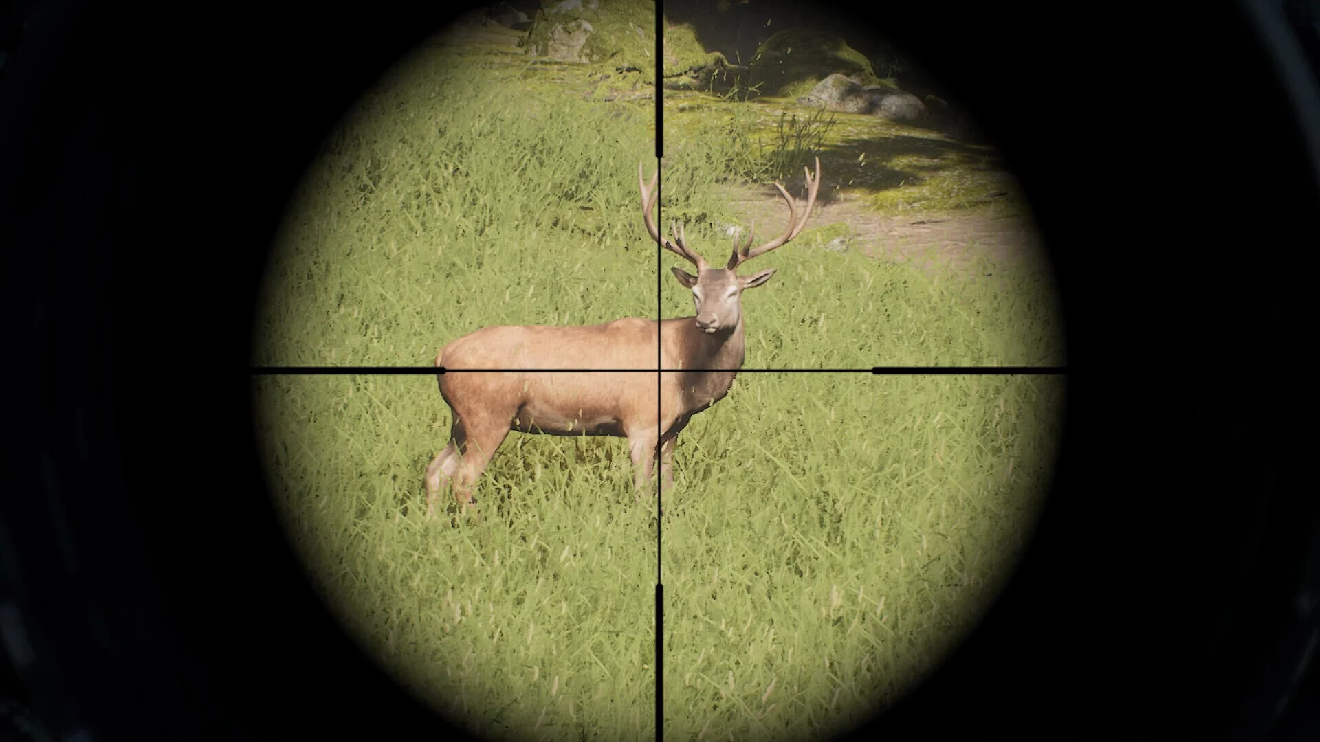 Изображение игры: Project Hunt
