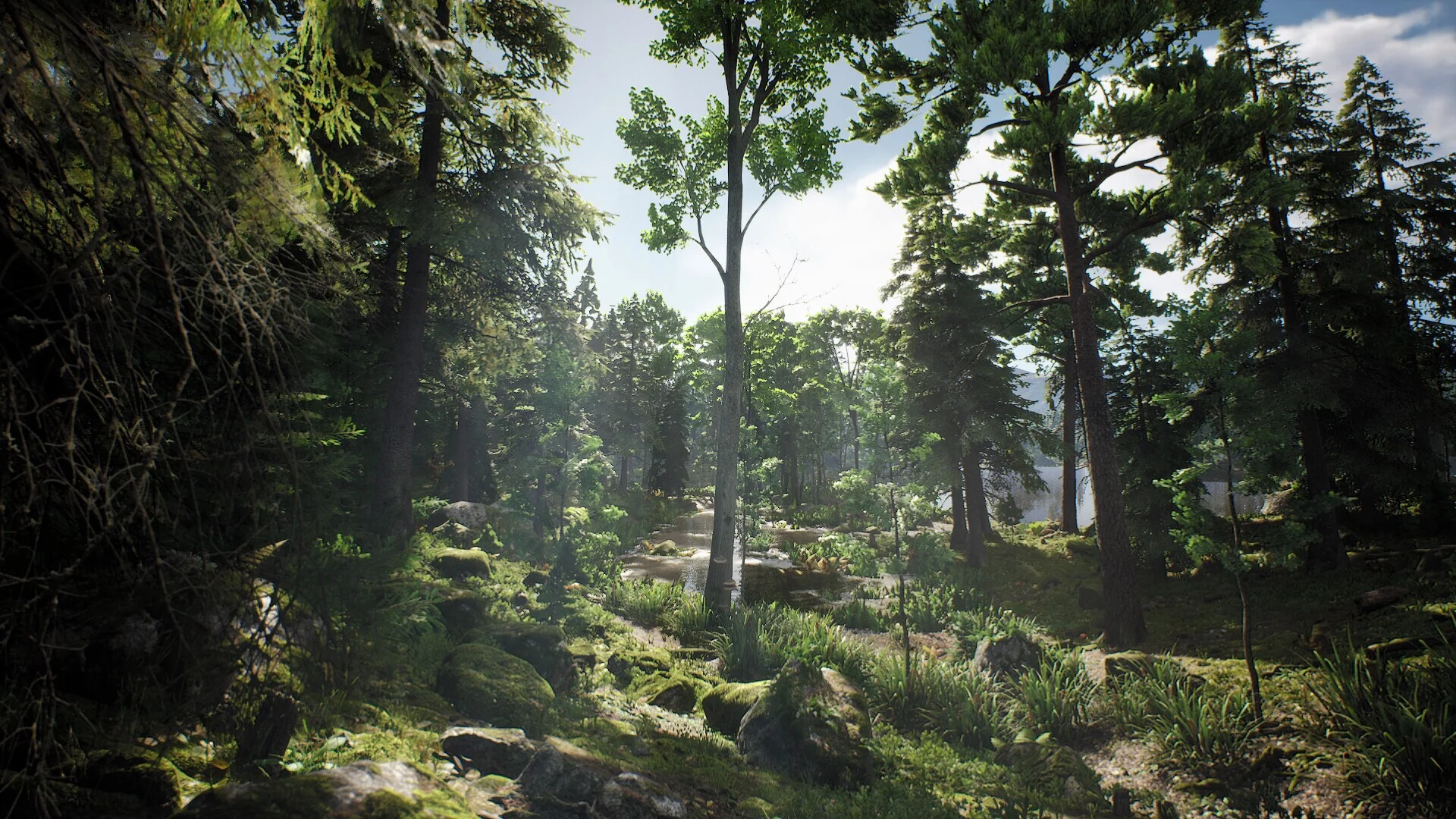 Изображение игры: Project Hunt