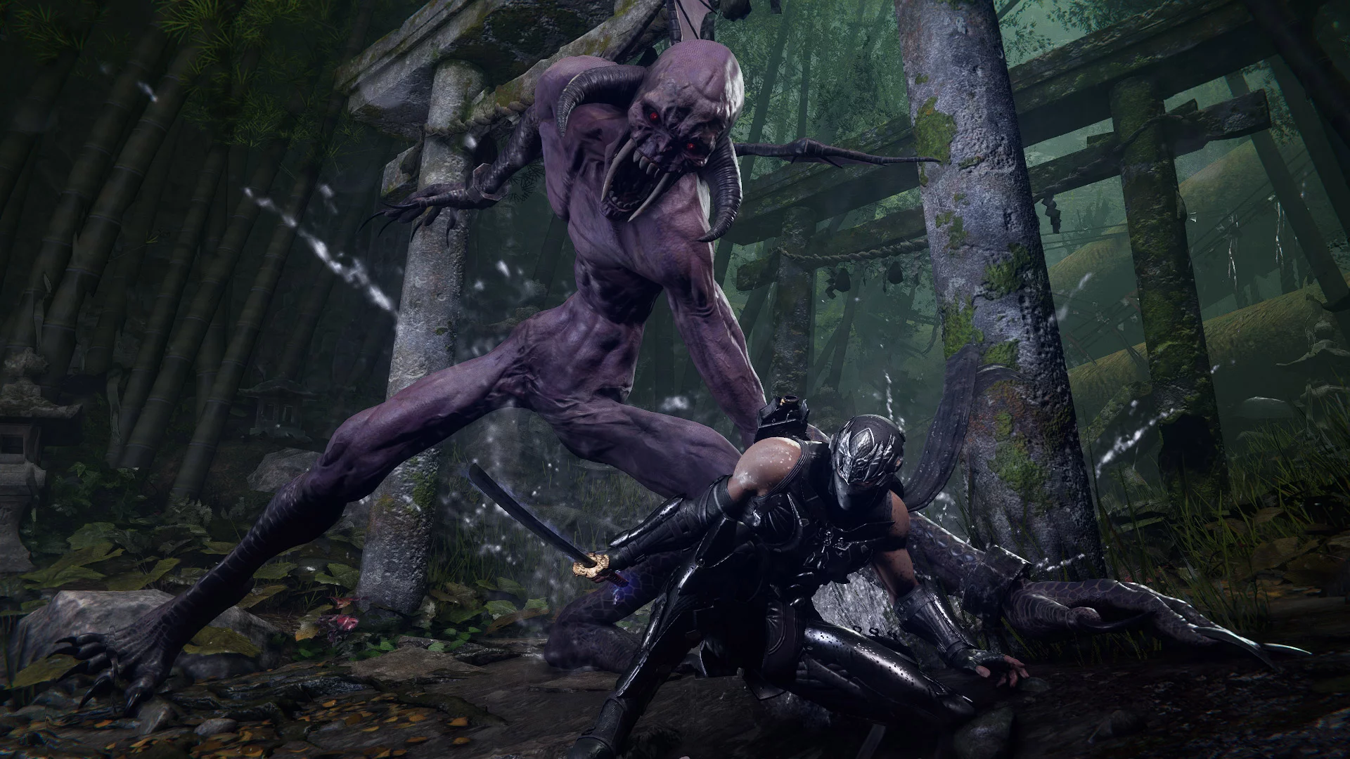 Изображение игры: Ninja Gaiden 4