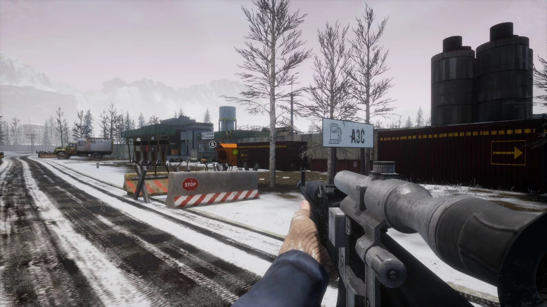 Изображение игры: Anarchy: Wolf's law
