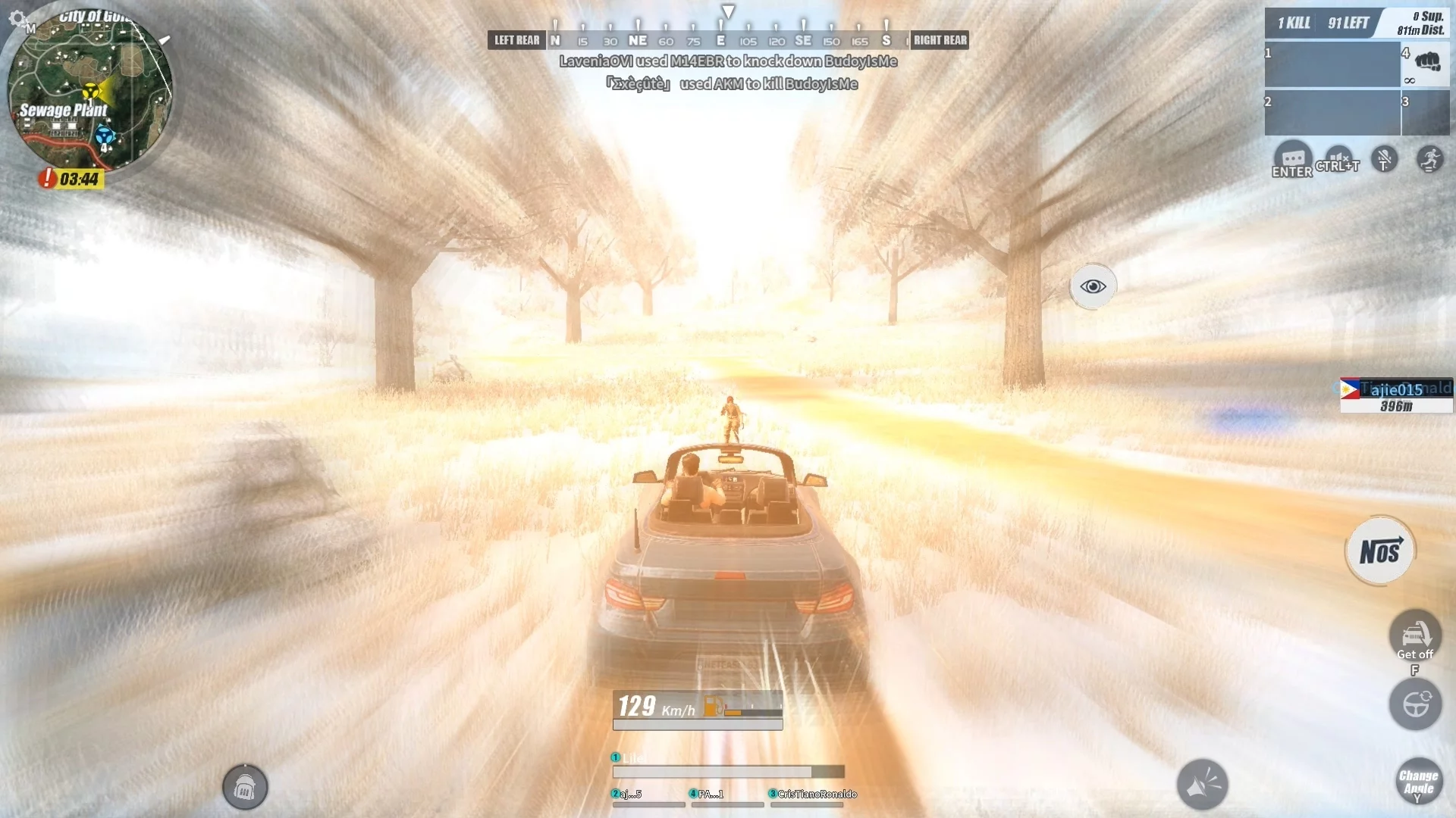Изображение игры: Rules of Survival