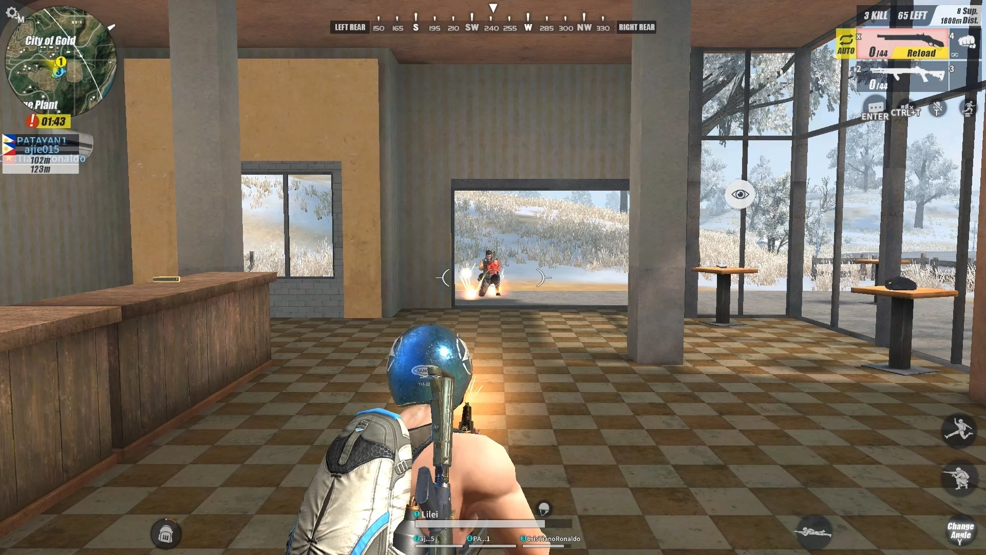 Изображение игры: Rules of Survival
