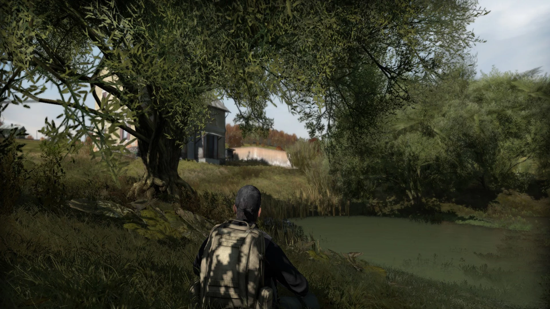 Изображение игры: ArmA II: DayZ Mod