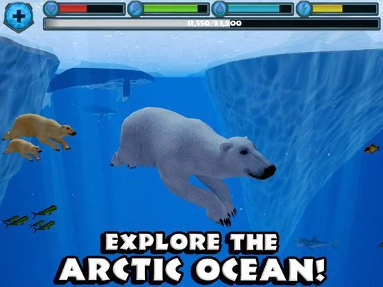 Изображение игры: Polar Bear Simulator