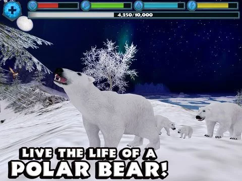 Изображение игры: Polar Bear Simulator