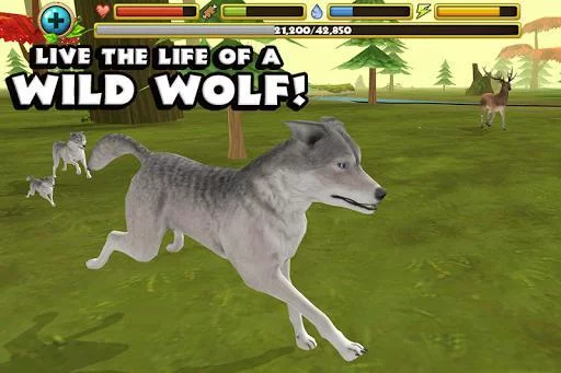 Изображение игры: Wildlife Simulator: Wolf