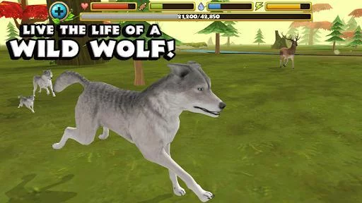 Изображение игры: Wildlife Simulator: Wolf