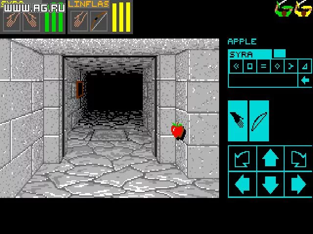 Изображение игры: Dungeon Master