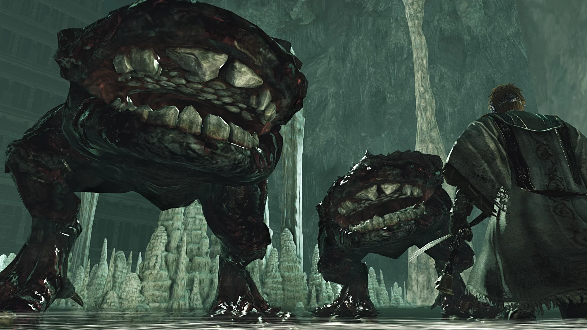 Изображение игры: Dark Souls II: Crown of the Sunken King
