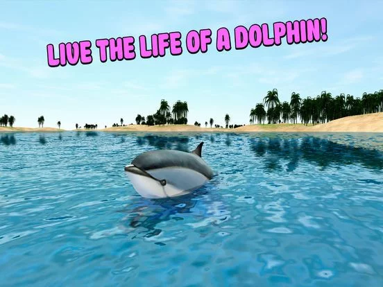 Изображение игры: Sea Simulator: Dolphin 3D