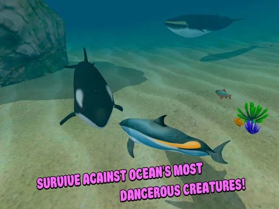 Изображение игры: Sea Simulator: Dolphin 3D