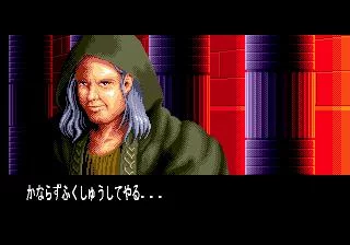 Изображение игры: Light Crusader (1995)