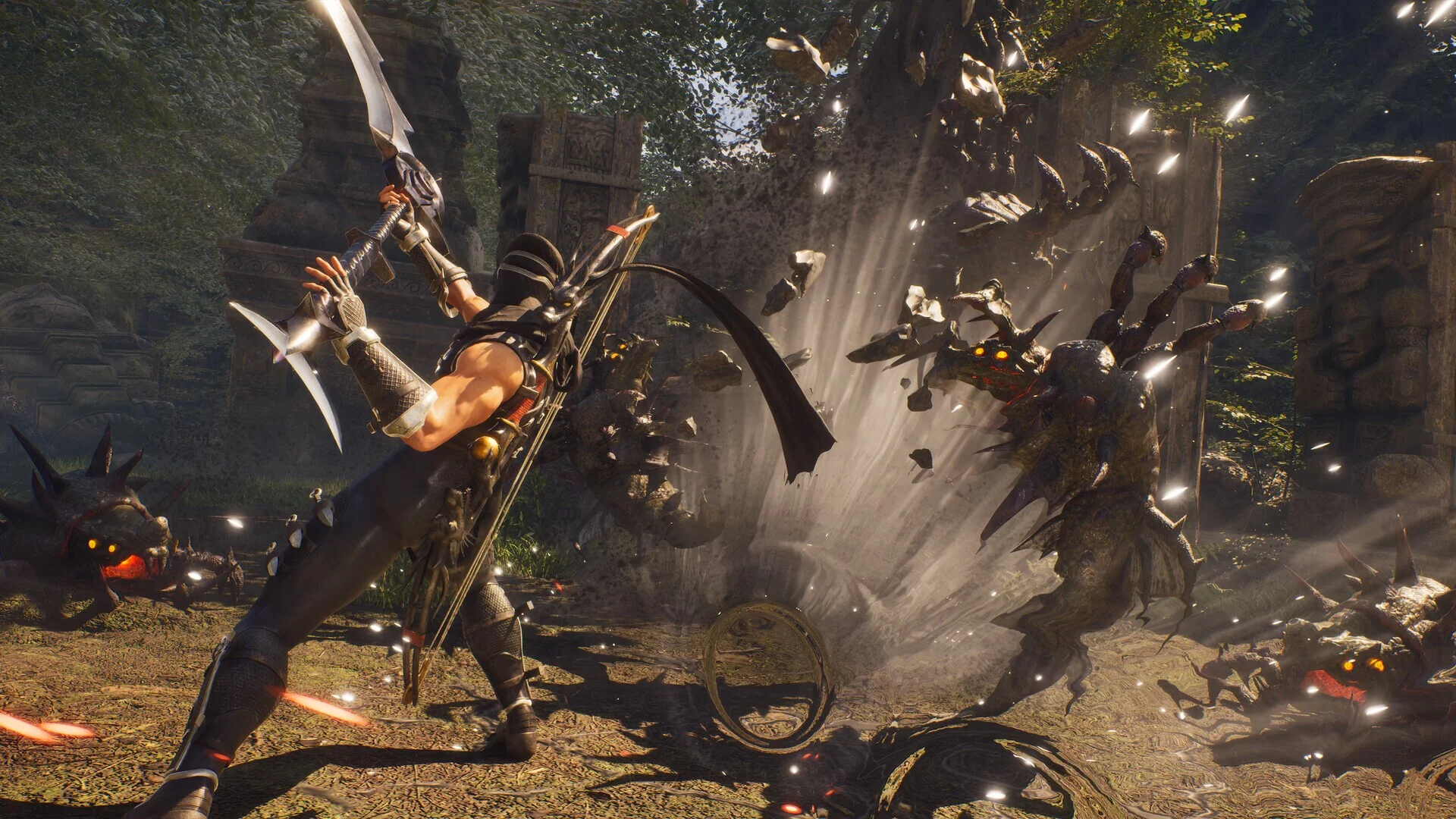 Изображение игры: Ninja Gaiden 2 Black