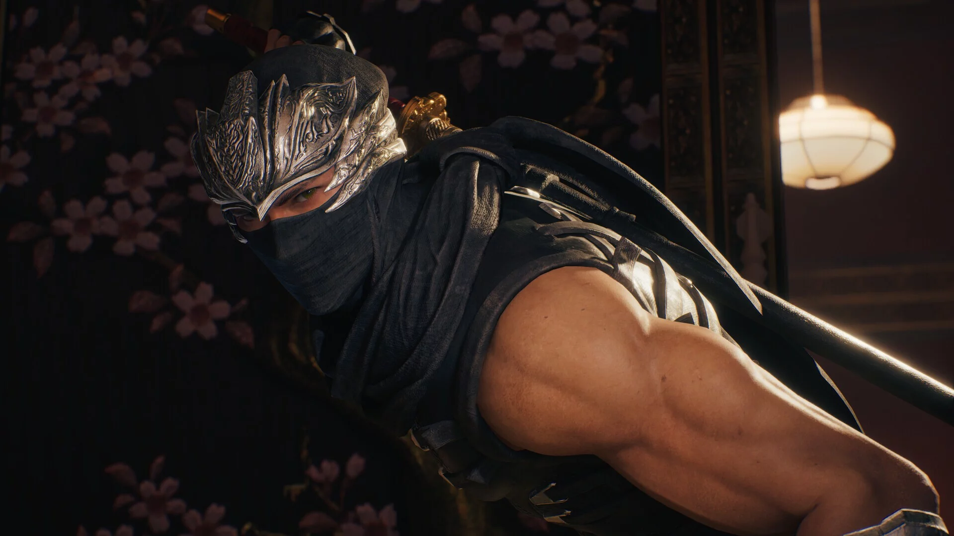 Изображение игры: Ninja Gaiden 2 Black