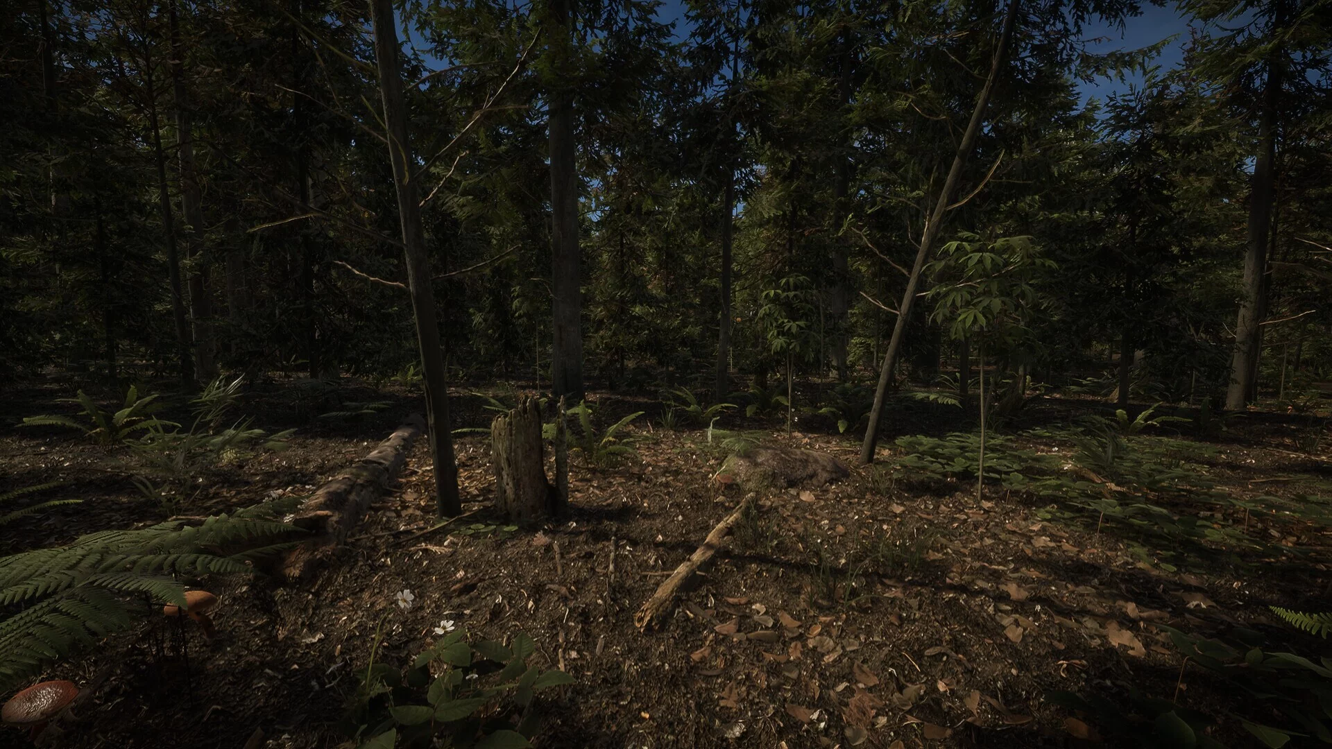 Изображение игры: Forest of Lost Wanderers