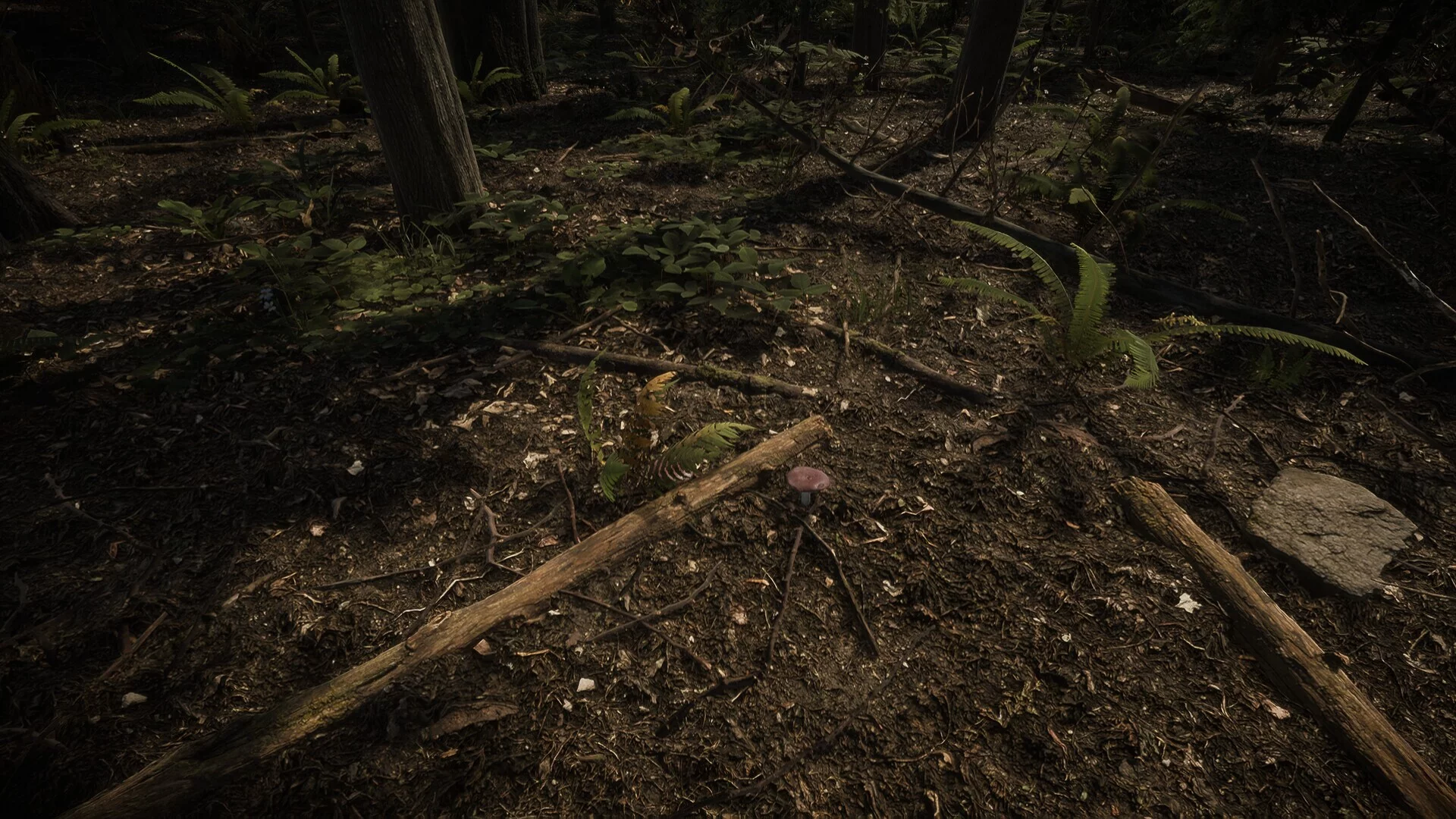 Изображение игры: Forest of Lost Wanderers