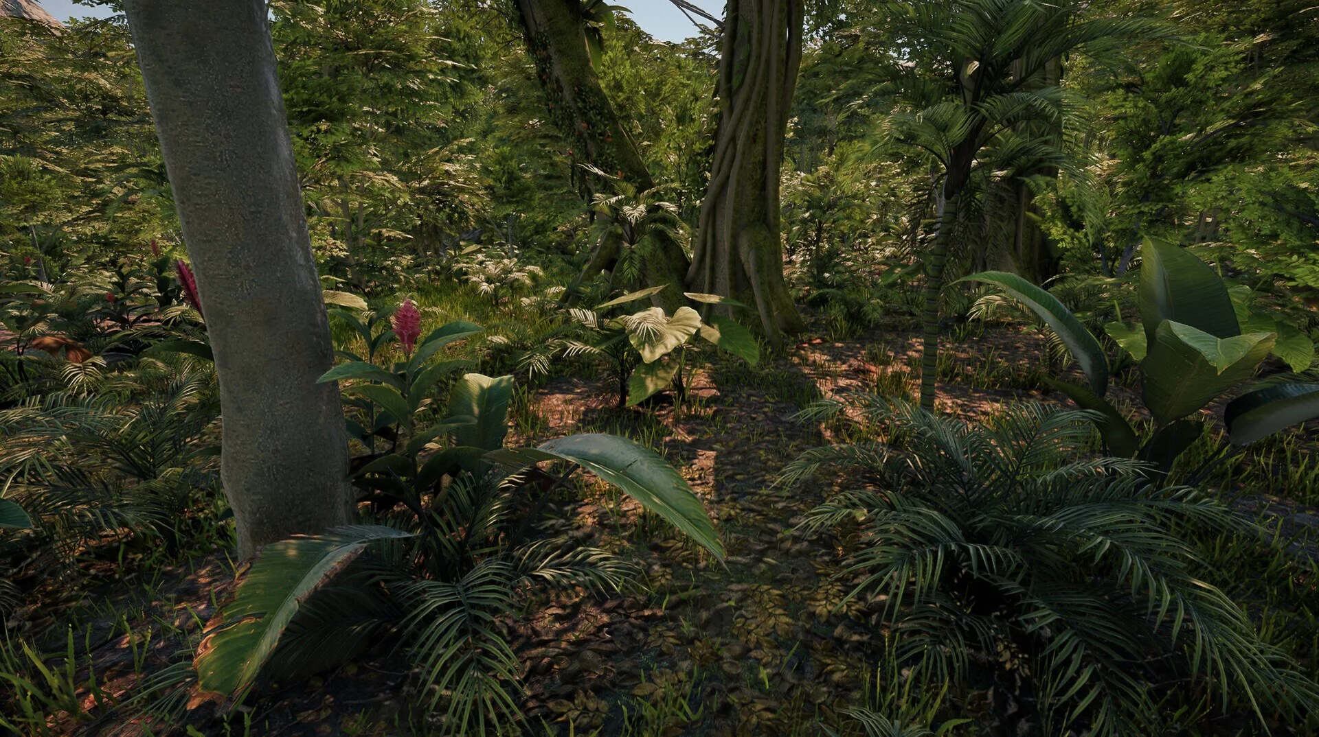 Изображение игры: Forest of Lost Wanderers