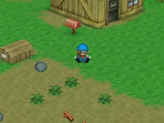 Изображение игры: Harvest Moon: Back To Nature