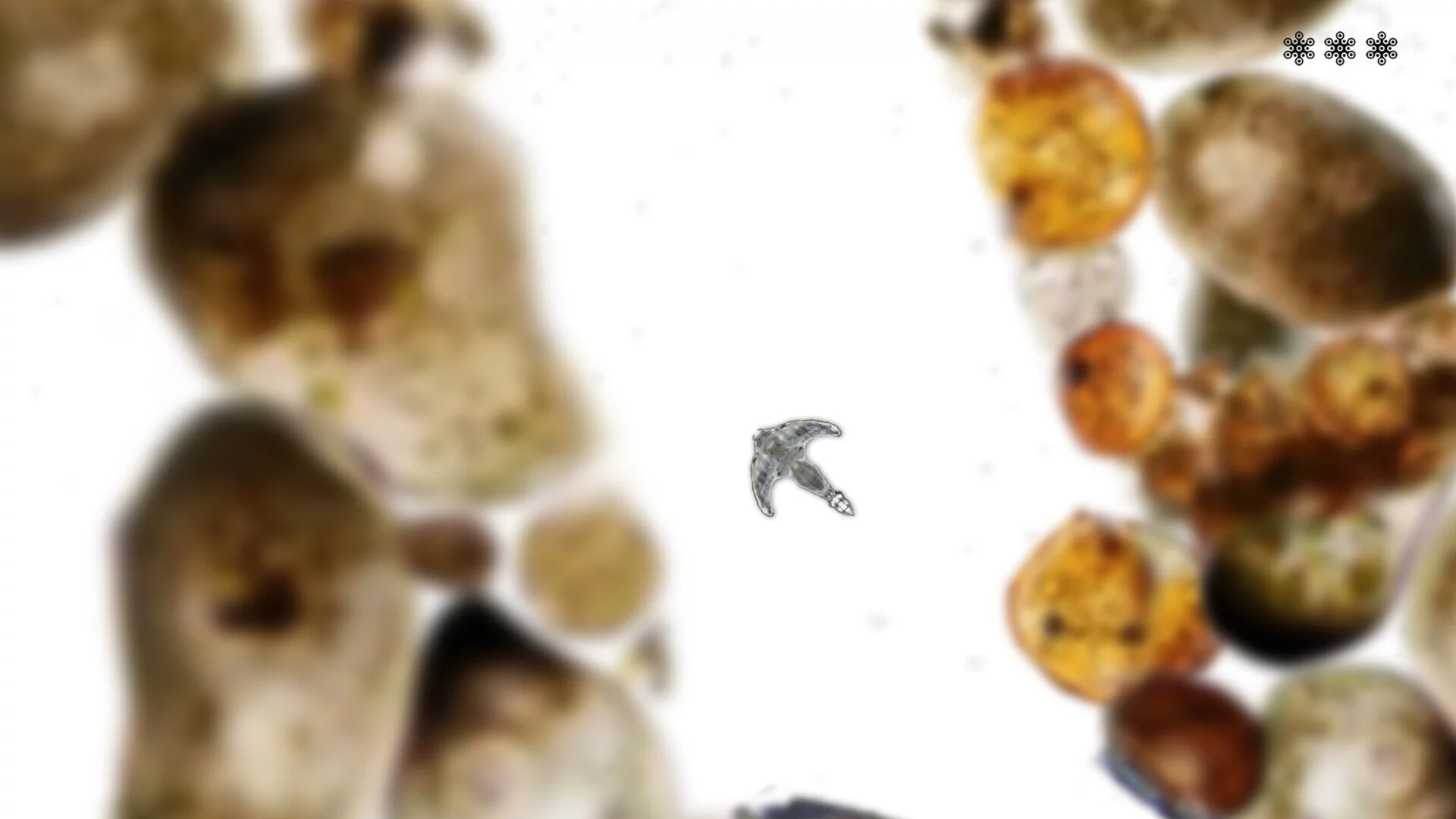Изображение игры: MICROSCOPIC